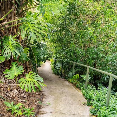 Hatea Treehouse Whangarei Exterior photo