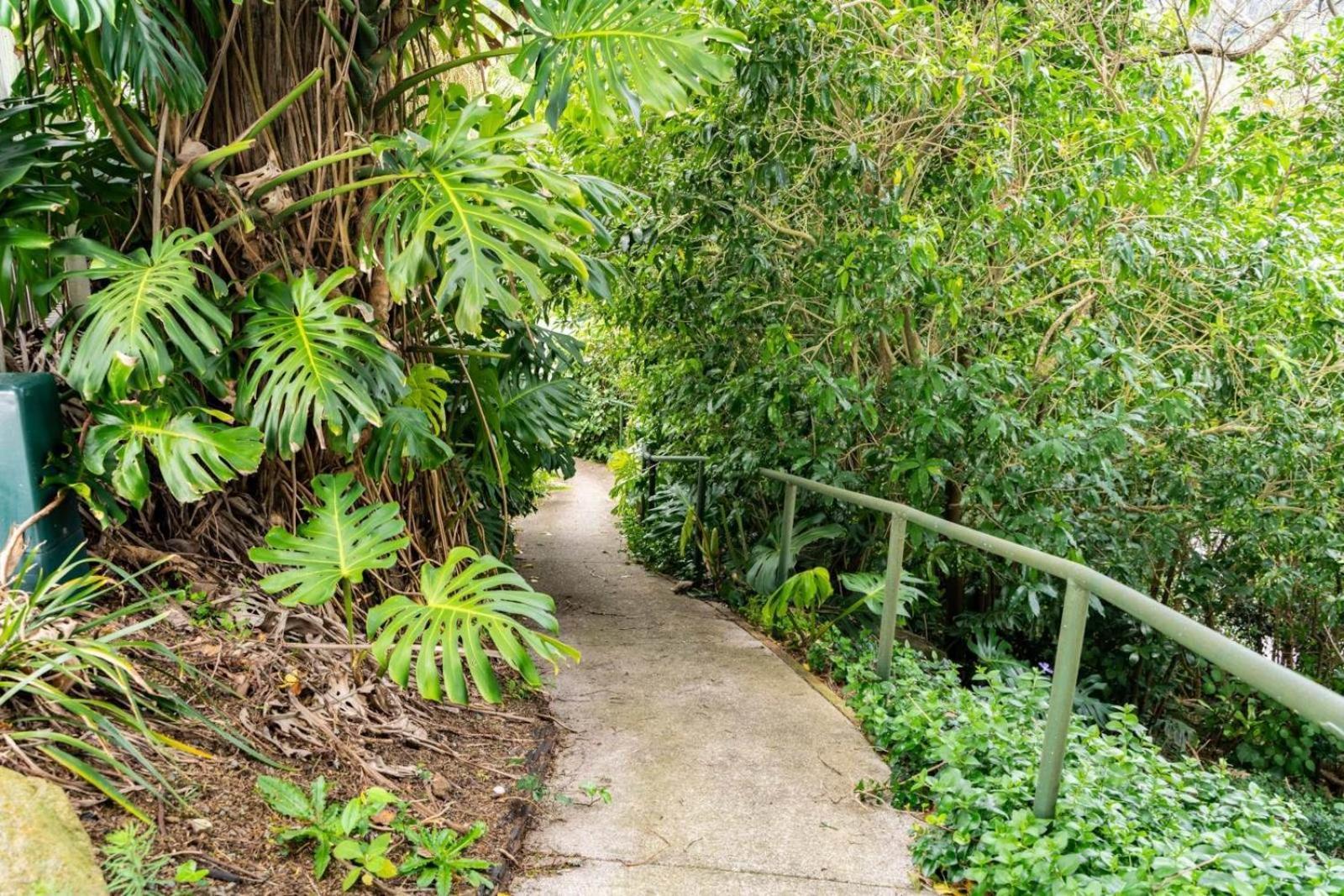 Hatea Treehouse Whangarei Exterior photo